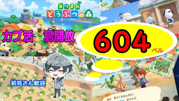 【あつ森】　W杯　日本勝利おめでとう！　島開放　　基本放置　カブ価６０４ベル☆　　　往復OK！初見さん歓迎！　きゃらめるまきあー島＃019