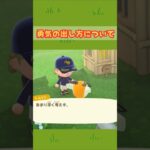 トムソンがレクチャー #acnh #あつ森 #あつまれどうぶつの森#どうぶつの森  #ゲーム#animalcrossing #animalcrossingnewhorizons #shorts