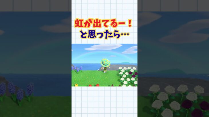 雨上がりの晴れが狙い目 #acnh #あつ森 #あつまれどうぶつの森#どうぶつの森  #ゲーム#animalcrossing #animalcrossingnewhorizons #shorts