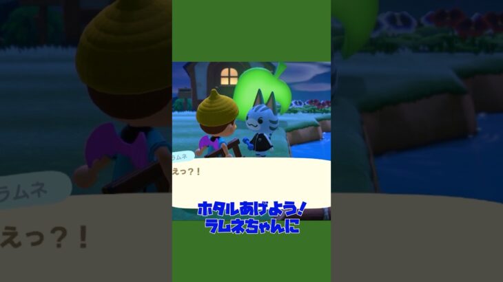 【あつ森ショート】ラムネちゃんの出演回数多いな？？みんなラムネちゃん好きやんな？？ #あつ森 #あつまれどうぶつの森 #animalclossing #ゲーム配信 #しゅまのゲーム帳