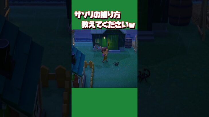 【あつ森ショート】サソリの捕まえ方教えて〜〜😭😭😭😭 #あつ森 #あつまれどうぶつの森 #animalclossing #ライブ配信 #しゅまのゲーム帳