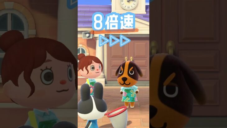 【あつ森】ジョンのライブ🐶 #animalcrossing #あつ森 #あつまれどうぶつの森 #ゲーム実況 #あつ森すきな人と繋がりたい