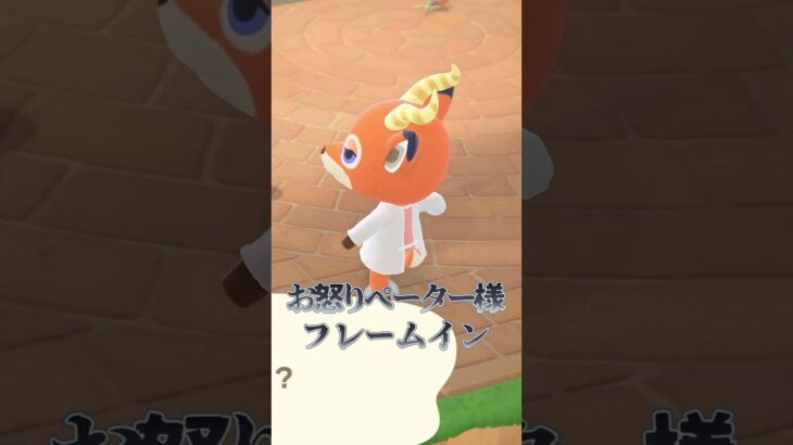 最近情報量が本当に多い #あつ森 #あつまれどうぶつの森 #animalcrossing