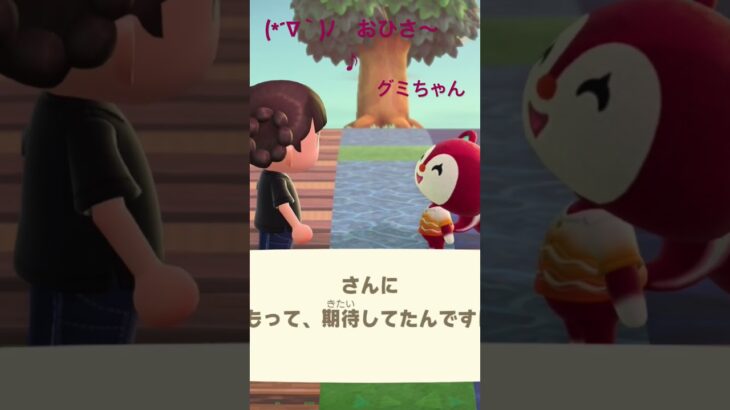 グミちゃん、ヽ(^Д^*)/おひさ〜♪#あつ森 #animalcrossing