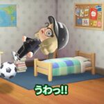 学校遅刻しちゃう!! #あつ森 #animalcrossing