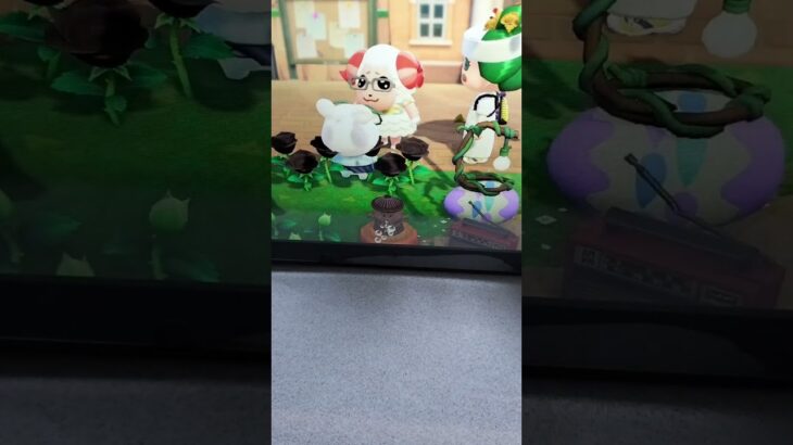 ストイックなちゃちゃまる君#あつ森 #animalcrossing