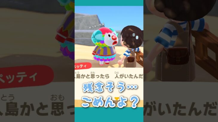 離島で出会ったらガッカリされた🎪 #あつ森 #ゲーム実況 #animalcrossing #nintendo #shorts