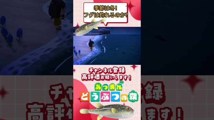 『 #あつ森』魚影発見！果たしてフグは釣れるのか？？ #あつまれどうぶつの森　#animalcrossing  #shorts   #ゲーム実況