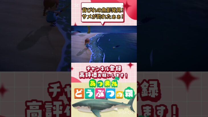 『 #あつ森』背びれの魚影発見！ついにサメが釣れたぁぁ！ #あつまれどうぶつの森　#animalcrossing  #shorts   #ゲーム実況