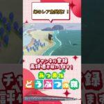 『 #あつ森』幻の魚発見か？！リュウグウノツカイ釣り上げてみた！ #あつまれどうぶつの森　#animalcrossing  #shorts   #ゲーム実況