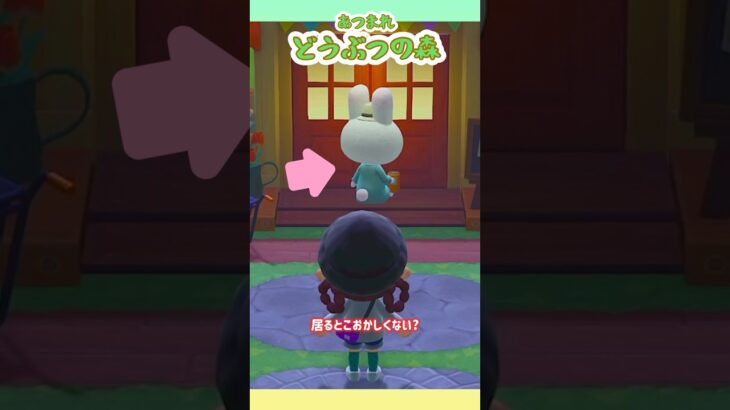 【あつ森】そこ、たぬき商店の出入り口ですよね？居るとこおかしいからっ！！ #あつまれどうぶつの森 #ゲーム実況 #animalcrossing #shorts