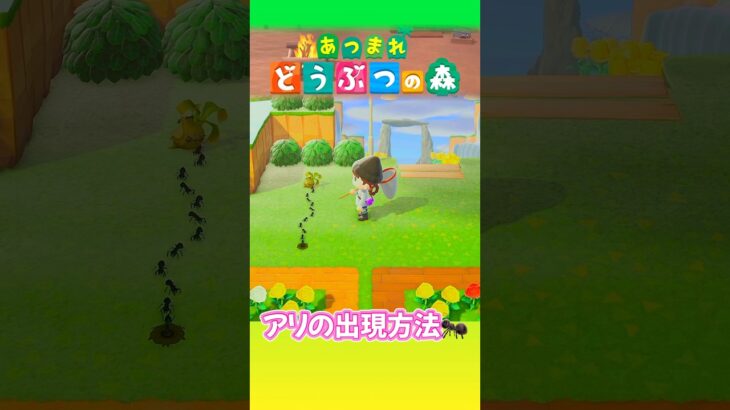 【あつ森】アリの出現方法をやってみた！ #あつまれどうぶつの森 #あつ森 #ゲーム実況 #animalcrossing #shorts