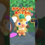 私も買える？ #あつ森 #あつまれどうぶつの森#どうぶつの森  #animalcrossing #ゲーム#shorts #animalcrossingnewhorizons #acnh