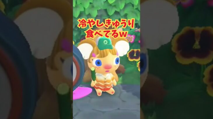 私も買える？ #あつ森 #あつまれどうぶつの森#どうぶつの森  #animalcrossing #ゲーム#shorts #animalcrossingnewhorizons #acnh