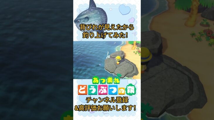 『 #あつ森』背びれ見えたから釣りをしてみたらマンボウだった #あつまれどうぶつの森　#animalcrossing #shorts #short #ゲーム実況