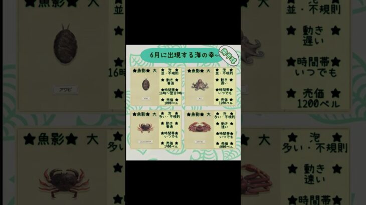 #あつまれどうぶつの森#あつ森 #animalcrossing #ゲーム実況 #switch #チャンネル登録と高評価お願いします