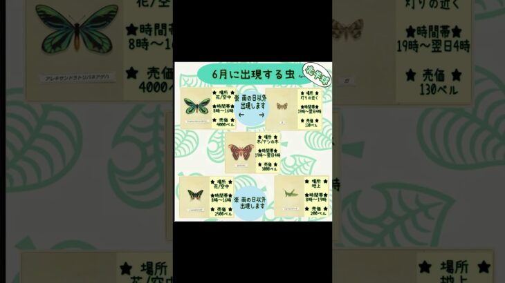 #あつまれどうぶつの森 #あつ森 #animalcrossing #ゲーム実況 #switch #チャンネル登録と高評価お願いします