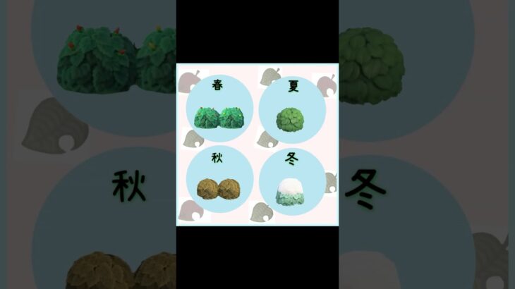 #あつまれどうぶつの森 #あつ森 #animalcrossing #ゲーム #switch #チャンネル登録と高評価お願いします
