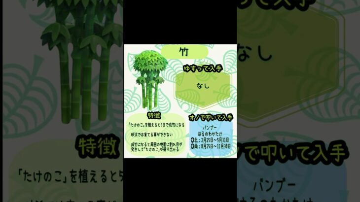 #あつまれどうぶつの森 #あつ森 #animalcrossing #ゲーム #switch #チャンネル登録と高評価お願いします