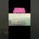 #あつまれどうぶつの森 #あつ森 #animalcrossing #ゲーム  #switch #チャンネル登録と高評価お願いします