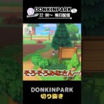 【あつ森】お昼ご飯のタイミングについて【あつまれどうぶつの森】 #どうぶつの森  #animalcrossing   #twitch #switch2