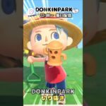 【あつ森】古のツッコミを入れてしまう【あつまれどうぶつの森】 #どうぶつの森  #animalcrossing   #twitch #switch2
