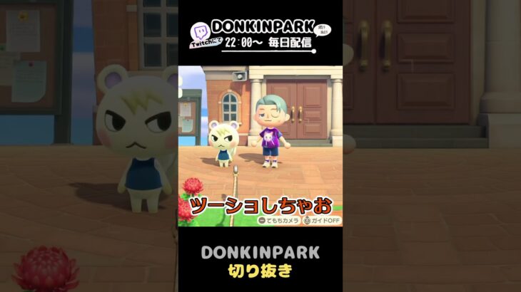 【あつ森】普段の撮影風景そのまま【あつまれどうぶつの森】 #どうぶつの森  #animalcrossing   #twitch #switch2