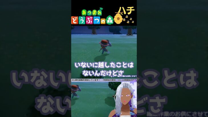 言った傍からハチ【あつ森/bloom】#vtuber #切り抜き #shorts