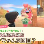 本編動画【あつ森】ツンちゃんまたですか？@たーさんの趣味の部屋 #たーさん住民と遊ぶ #mochachan島