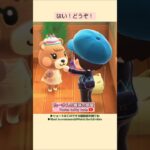 【あつ森】メープルちゃんのお誕生日@たーさんの趣味の部屋 #mochachan島 #あつ森メープル#youtubeshorts
