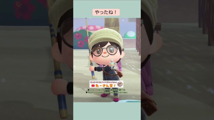 【あつ森】クリオネ釣ったよ@たーさんの趣味の部屋 #たーさん釣りを楽しむ #mochachan島 #youtubeshorts