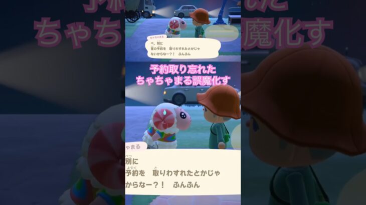 【あつ森】自分のミスを誤魔化そうとするちゃちゃまるさんかわいい😍✨宿の予約を忘れてたけど、見栄を張りたかったちゃちゃまるさん好き🥰 #あつ森 #あつまれどうぶつの森 #ちゃちゃまる #short