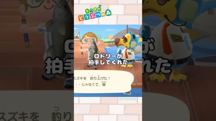 【あつ森小ネタ】それ拍手なの…？　#shorts #あつ森 #あつまれどうぶつの森