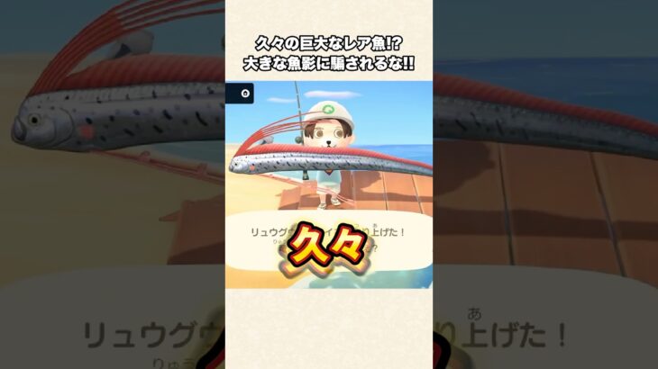 【あつ森】めちゃでか魚影！？久々に釣り上げたレア魚！【あつまれどうぶつの森】#shorts #あつ森