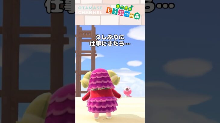 【あつ森小ネタ】うらやましい…  #shorts #あつ森 #あつまれどうぶつの森