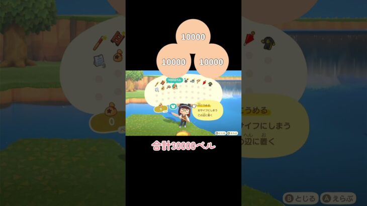 お金の木について💰🌳 【あつ森】 #shorts #あつ森 #ゲーム実況