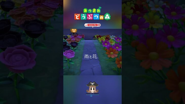 雨と花  【あつまれ動物の森】 【癒し】 #shorts #あつ森 #雨の日