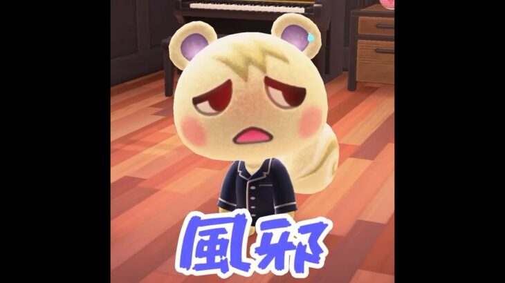 【あつ森】ジュン様が重症？！いい早く処置を・・！ #shorts  #あつ森 #あつまれどうぶつの森