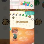 【あつ森小ネタ】だまされた… #shorts #あつ森 #あつまれどうぶつの森