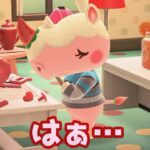 【あつ森】ハラハラ展開？！住民同士のケンカ発生・・#shorts  #あつ森 #あつまれどうぶつの森
