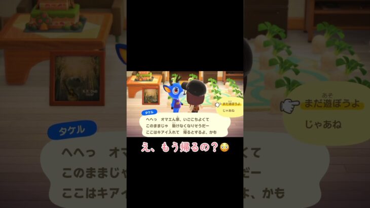 帰ってオーラ出てた？【あつ森】 #shorts #あつ森 #ゲーム実況