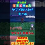 【#あつ森 】耐久配信ヤマメ釣り上げ集#あつまれどうぶつの森 #島クリ #shorts