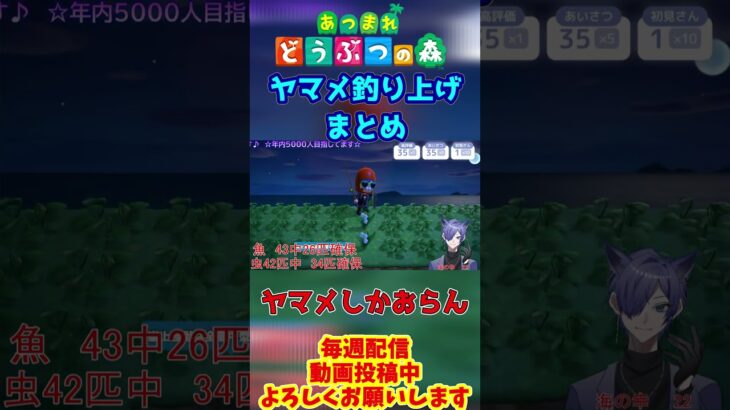 【#あつ森 】耐久配信ヤマメ釣り上げ集#あつまれどうぶつの森 #島クリ #shorts