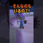 奇跡的に！！！ #あつ森 #あつまれどうぶつの森 #ゲーム実況 #shorts