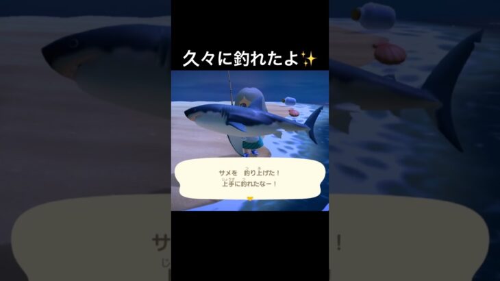 もうこいつが釣れる時期なのだ🤩#あつ森 #あつまれどうぶつの森 #ゲーム実況 #shorts