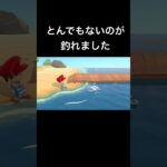 【あつ森】大物が釣れました #あつ森 #釣り #shorts