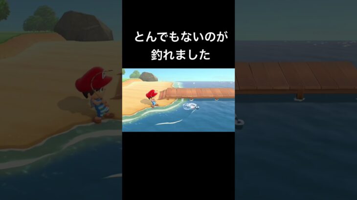 【あつ森】大物が釣れました #あつ森 #釣り #shorts