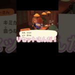 たぬき開発ブラックすぎん？【あつまれどうぶつの森】#あつ森 #ゲーム実況 #shorts