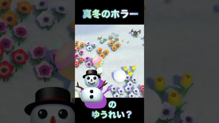 南半球だから真夏のホラーか？！ #あつ森 #あつまれどうぶつの森 #ゲーム実況 #shorts