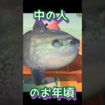 ダジャレネタ多め？ #あつ森 #あつまれどうぶつの森 #ゲーム実況 #shorts